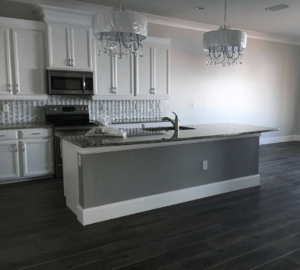 Luxury Remodeling Kitchen Tampa Bay