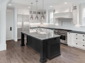 High End Kitchen Black and White in Tampa